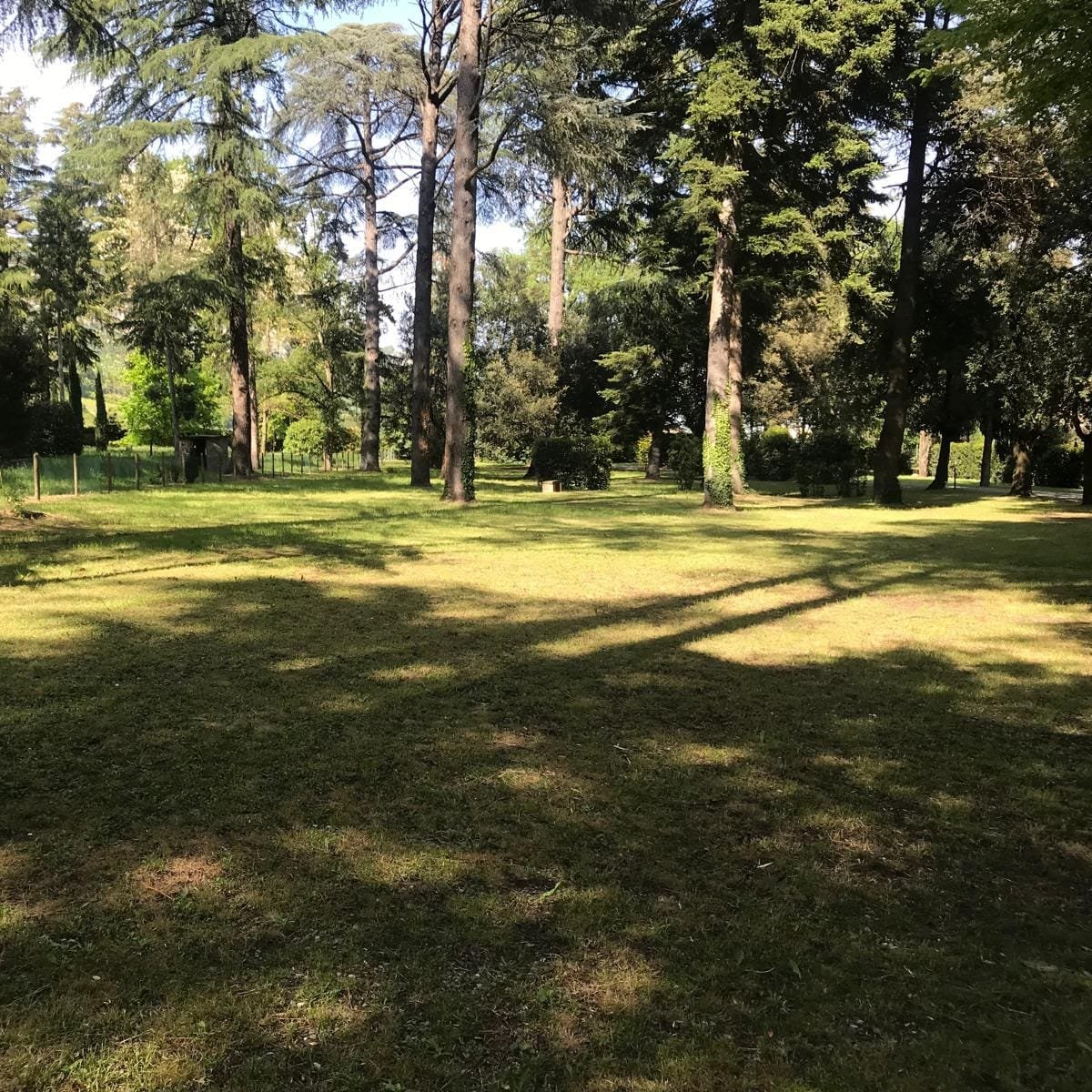 Suggestivo parco secolare Suggestivo parco secolare